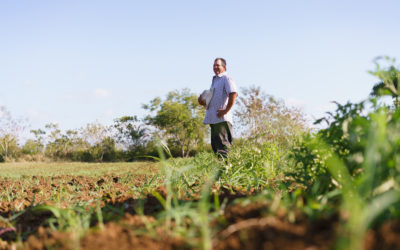 The Benefits of Hydroseeding for Erosion Control