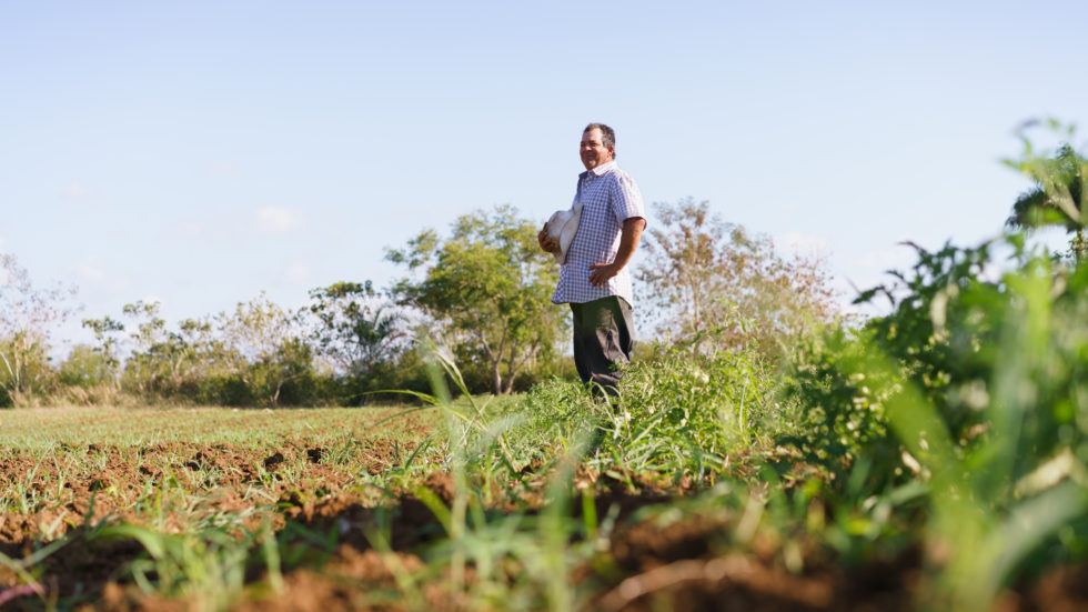 Best hydroseeding on sloped areas for erosion control in nj