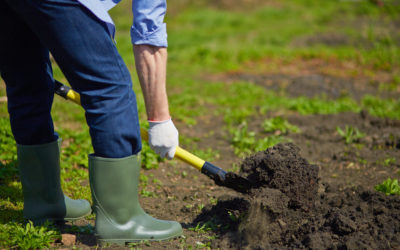 Prevent Soil Erosion and Restore Property Successfully with Revegetation Services