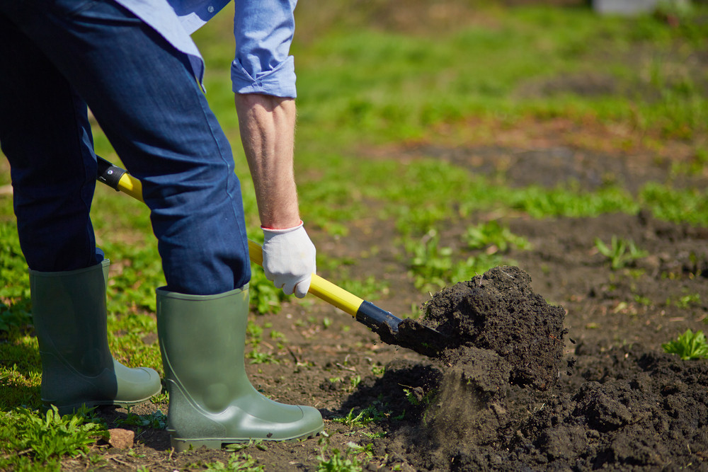 Prevent Soil Erosion and Restore Property Successfully with Revegetation Services