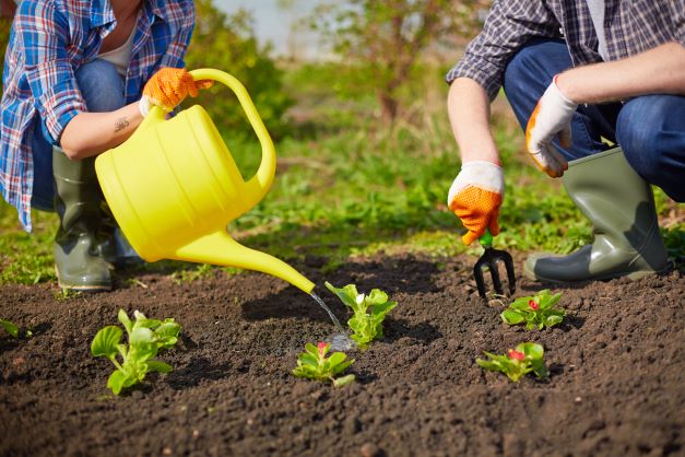 7 Great Benefits of Hydroseeding